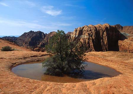 foto_deserti_002_Basin_Snow_Canyon_Utah[1]